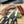 Load image into Gallery viewer, Bowery Home Meat-cutting Scissors - 10 inches