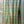 Load image into Gallery viewer, Cactus Green Shower Curtain Liner