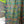 Load image into Gallery viewer, Cactus Green Shower Curtain Liner